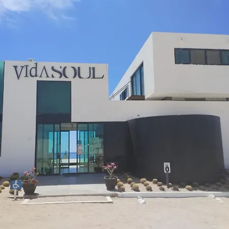 Vidasoul