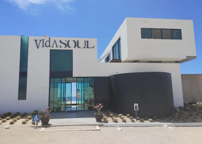 Vidasoul