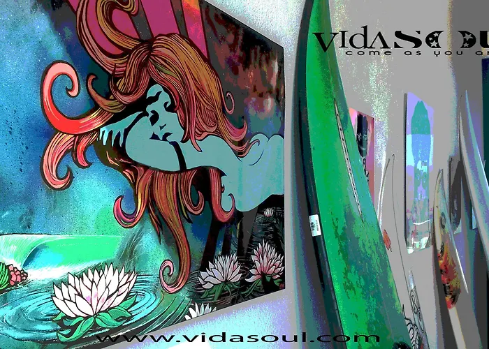 Hotel Vidasoul