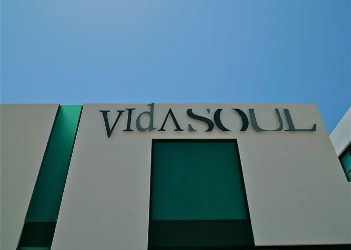 Vidasoul