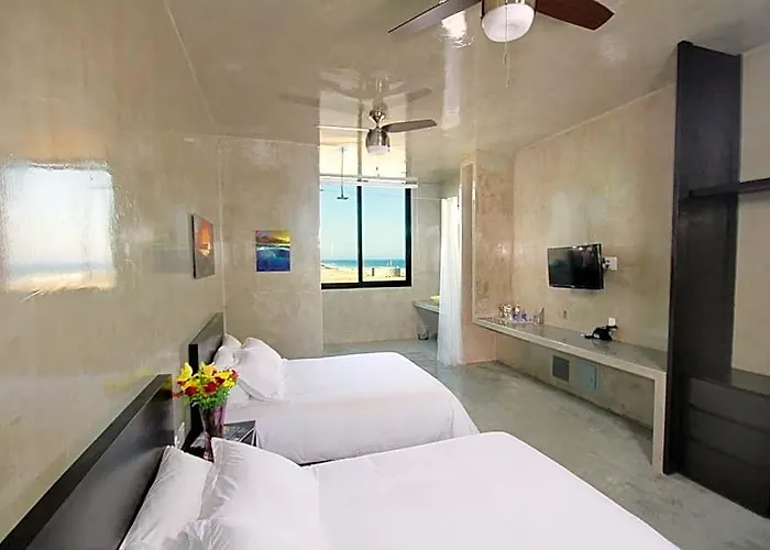 Hotel Vidasoul 4*