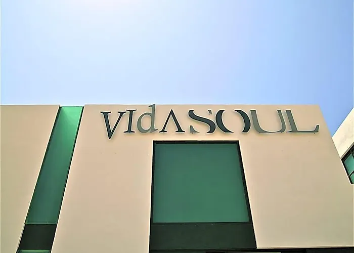 Vidasoul 4* Boca de la Vinorama