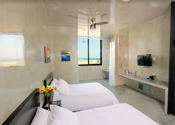 Hotel Vidasoul