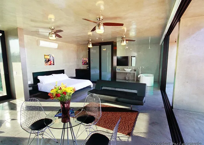Vidasoul Hotel 4*