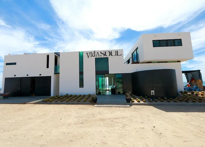 Vidasoul 4*